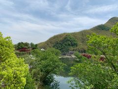 -鹿亭中村