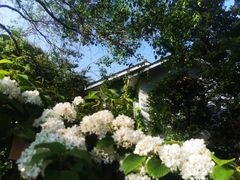 -南京老山国家森林公园