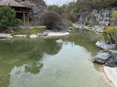 -上海吴淞炮台湾国家湿地公园