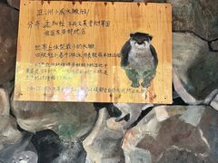 -昆明动物园