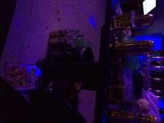 歌神量贩KTV-歌神量贩式KTV(金谊店)