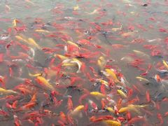 -泰安地下龙宫景区