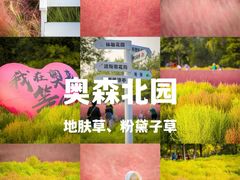 -颐和园