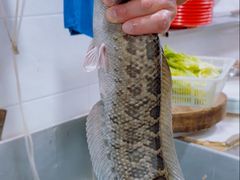 -大理.老字号渝记酸萝卜乌鱼(古城总店)