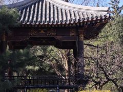-元大都城垣遗址公园