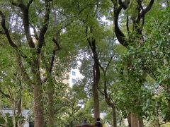 -徐家汇源景区-衡山公园