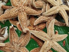 -富力威斯汀酒店·知味自助餐厅