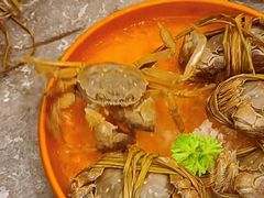 -牛YO寿喜烧和牛火锅自助(三台子万象汇店)