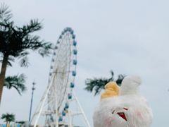 -秦皇岛乐岛海洋王国