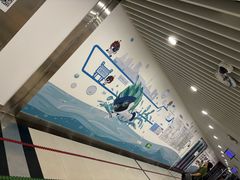 -北京科技大学-游泳馆