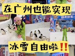 -广州热雪奇迹