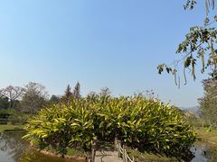 -中国科学院西双版纳热带植物园