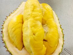 -都念榴莲·城市榴莲