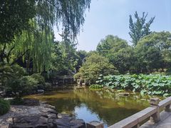 -秋霞圃