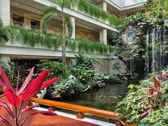 -广州白天鹅宾馆
