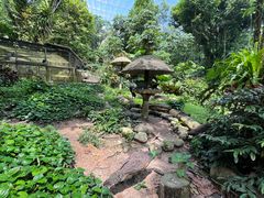 -新加坡飞禽公园