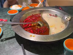 -麻田会 ·鲜活现烹·牛蛙火锅(珠江新城维家思广场店)