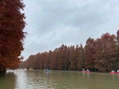 -上海海湾国家森林公园