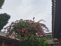 -西安市广仁寺