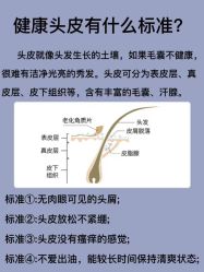 -天其美科学美肤·生发健康管理