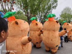 -北戴河集发农业梦想王国