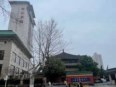 -南京钟山宾馆(江苏省会议中心)