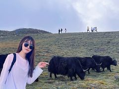 -灵山