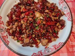 -龙师傅卤炒(天马店)
