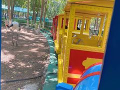 -长白岛森林公园