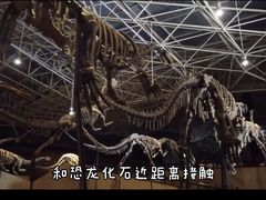 -世界恐龙谷景区