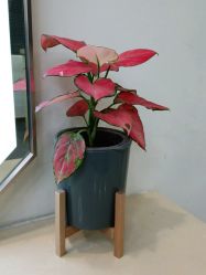 -悦·臻时美发沙龙