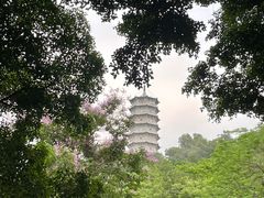 -深圳国际园林花卉博览园