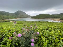 -嵛山岛