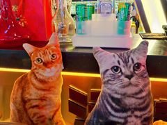 -Famous肥猫墨西哥音乐餐吧(五棵松华熙LIVE店)