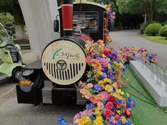 -上海鲜花港