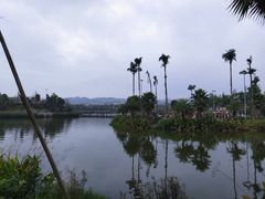 -枫香湖儿童公园
