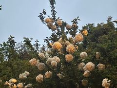 -天鹅湖体育公园