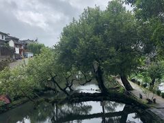 -和顺古镇