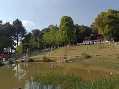 -铁山坪森林公园