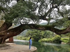 -上坦村