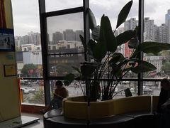 -谐和贝康宠物医院24小时·宠保定点(急重症转诊中心)