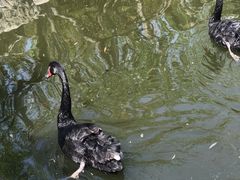 -面爱面(长椿街店)