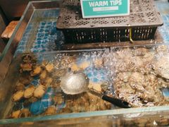-亚马逊海鲜自助(万象汇店)