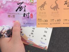 -自然谷恐龙园
