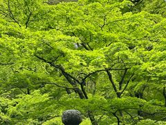 -三千院