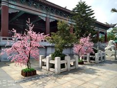 -厦门方特梦幻王国