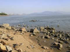 -深圳湾公园(南山区)