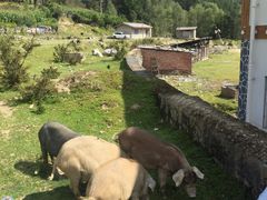 -硗碛藏寨·神木垒景区