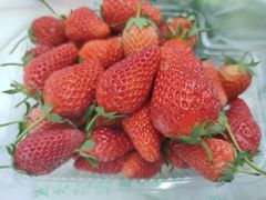 草莓-北京清河镇农副产品交易市场中心