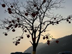 -青岛崂山太清宫